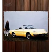 Металлическая табличка Alfa Romeo 1750 Spider Veloce (105)